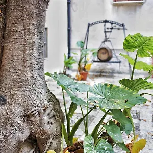 Bed & Breakfast Garibaldi, Alcamo